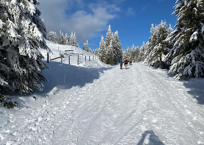 Chalet Am Berg Turracher Hoehe Natur & Ski